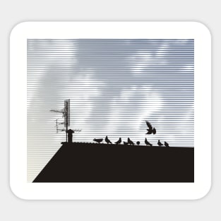 Pigeons on the Roof Sticker